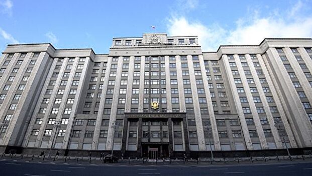 В Госдуме предложили проработать широкое внедрение электронных виз