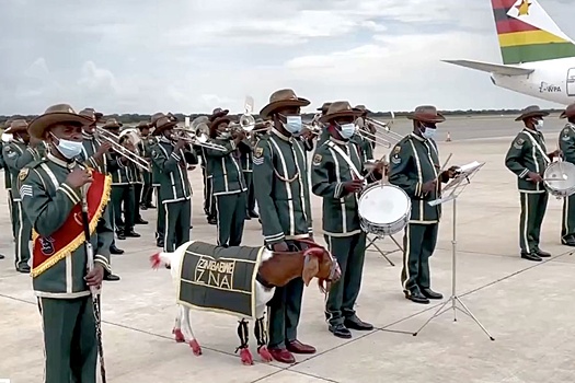 Лукашенко в аэропорту Зимбабве проводили с почетным караулом и козлом