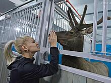 День, когда циркачи отправляются к зрителям