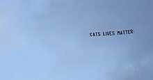 «Жизни кошек важны». Баннер для Зума пролетел над полем во время матча «Ливерпуль» – «Вест Хэм»