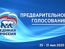 Суханов: молодежь начинает верить в систему праймериз