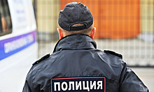 Появилось видео жесткого задержания заслуженного тренера в Пулково