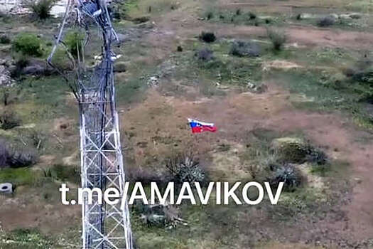 Глава Херсонской области Сальдо: военные установили российский флаг в Николаевке