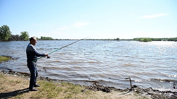 В Волгоградской области на месяц запретили ловить щуку на Дону