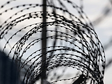 Рецидивист-педофил сбежал из тюрьмы и изнасиловал ребенка