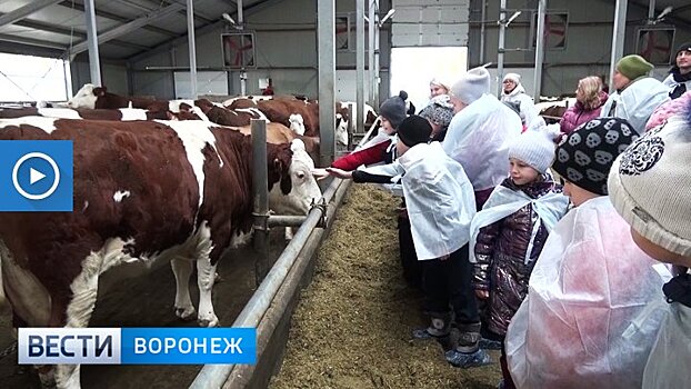 Воронежским школьникам показали, как на самой большой ферме в Европе производится молоко