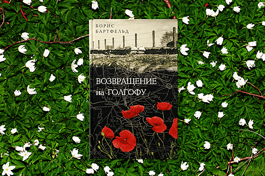 Листаем до семи: Обзор книг, выпущенных калининградскими авторами за последний год