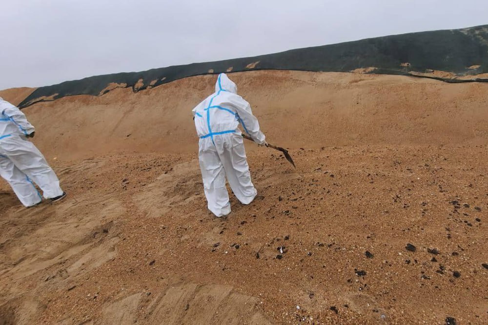 На пляжах Анапы после шторма обнаружены новые выбросы мазута