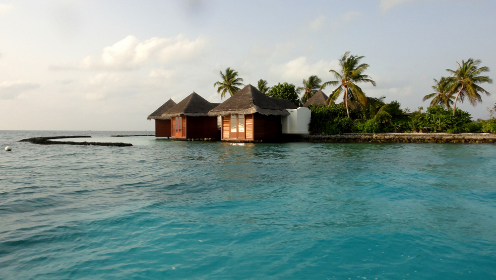 Школа Серфинга Surf Holidays, Мале, Мальдивы, Азия