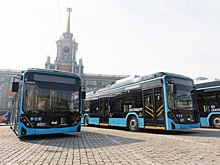 Власти хотят изменить четыре маршрута автобусов для доставки студентов в Новокольцовский
