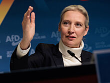 В Германии заявили о «болванах» у власти и тупике страны