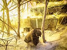 Заработок наемников в рядах ВСУ оценили