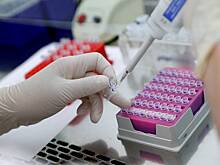 Российские ученые украли 20 миллионов рублей при испытании нового лекарства от рака