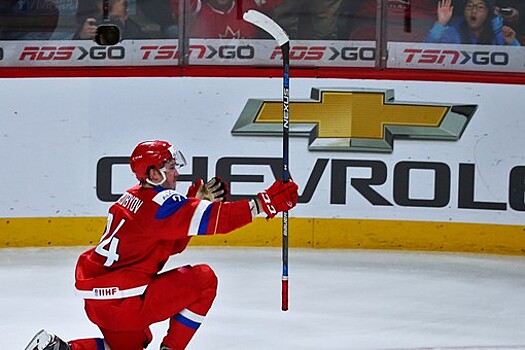 Обвиняемый в покупке военного билета российский хоккеист Воробьев сделал заявление