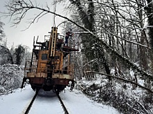 Из-за снегопада и падения деревьев поезд "Москва - Сухум" застрял в Гагре