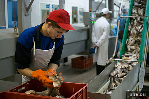 В КНР заинтересовались импортом оленины и рыбы из ЯНАО