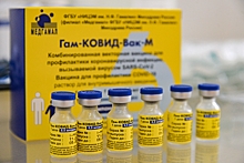 У готовых к испытанию вакцины «Спутник М» детей обнаружили антитела к COVID-19
