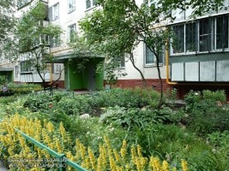 Городские службы убрали подъезд после обращения жителя