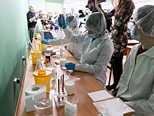 В Томском аграрном колледже будут готовить специалистов по особой программе для «Сибагро»