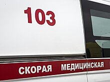 В Петербурге пенсионер без скальпа попал в больницу