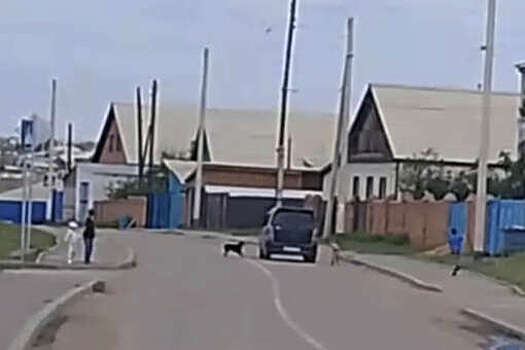 На видео попало, как в Бурятии собака на привязи бежит за автомобилем