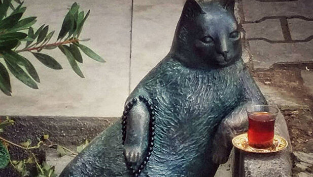 В Стамбуле открыли памятник самому известному коту Турции