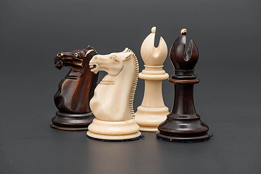 Выставка «Шахматный код. Игра. Наука. Искусство» откроется в подземном музее парка «Зарядье» 6 июня