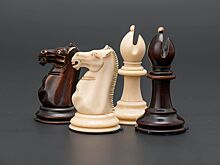 Выставка «Шахматный код. Игра. Наука. Искусство» откроется в подземном музее парка «Зарядье» 6 июня