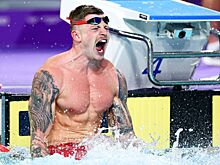 Главные события чемпионата мира по водным видам спорта — 2024 в Дохе — возвращение Адама Пити, участие россиян