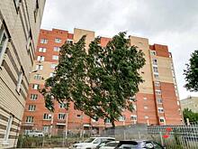 В Центральной России пройдут дожди с грозами и порывистым ветром