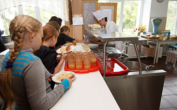 Контроль над организацией питания усилят в школах Новосибирской области