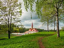 Путешествие по пригородам Петербурга: Гатчина, Царское село, Павловск, Стрельна, Петергоф