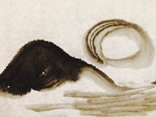 В ЮЗАО пройдет мастер-класс по суми-э