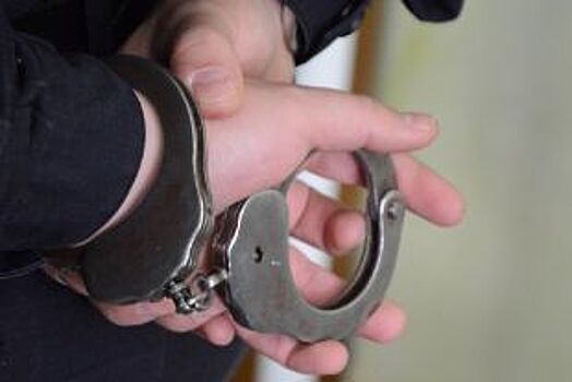 В Петербурге арестовали предполагаемого виновника ДТП на Савушкина