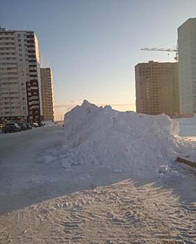 Жители Тюмени пожаловались на плохую уборку снега