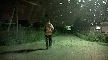 Полицейские-кинологи и волонтеры обнаружили грибников, пропавших в Орловской области