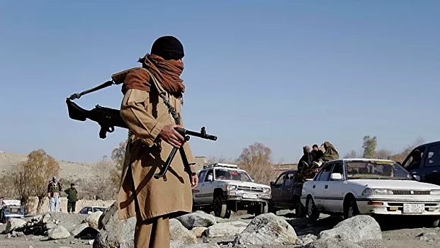 "Талибан" объявил о временном прекращении огня
