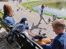 Минтруд предложил изменить правила назначения детских пособий