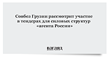 Совбез Грузии рассмотрит участие в тендерах для силовых структур «агента России»