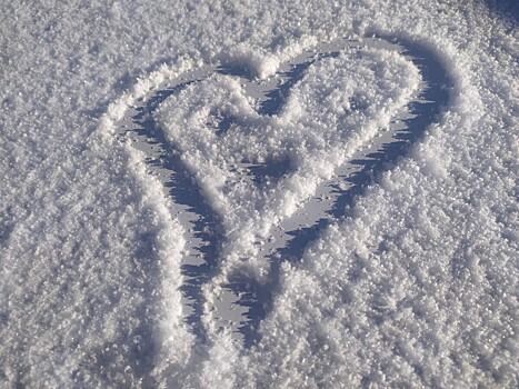 Тепло и дождик: костромичам пообещали погоду, как весной