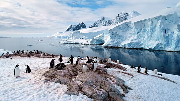 В ускорении таяния антарктических ледников найдена неожиданная польза