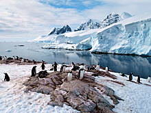 В ускорении таяния антарктических ледников найдена неожиданная польза