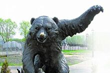 Символ города. Засилье медведей в Ярославле