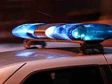 Убийство бойца ММА Мутаева: что известно, кого подозревают