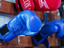 Шведский боксер объяснил отказ от рукопожатия с россиянином