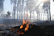Раскрыты сроки тушения крупных пожаров в Сибири