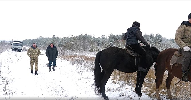 В курской области ущерб от незаконных рубок деревьев превысил 32 миллиона рублей