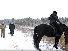 В курской области ущерб от незаконных рубок деревьев превысил 32 миллиона рублей