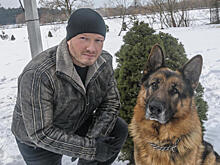 На НТВ снимают продолжение детектива «Пес»