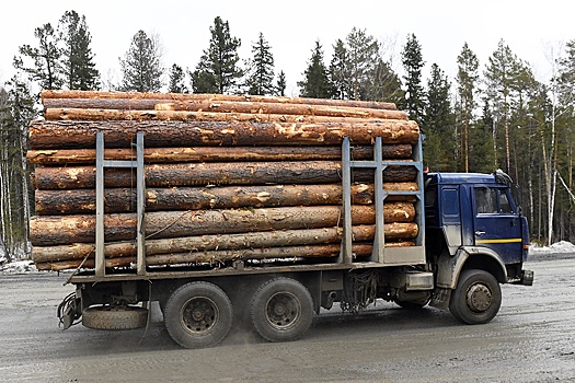 В Рослесинфорге рассказали о ходе эксперимента по мониторингу движения лесовозов